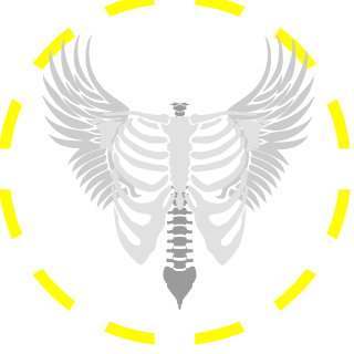 Latsnem's emblem