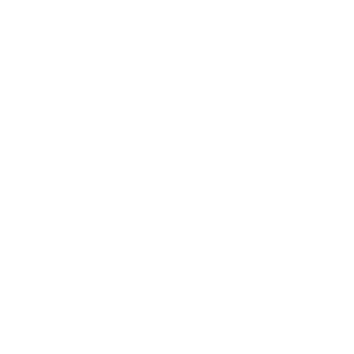 llAquisll's emblem
