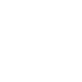 Mandalori4n's emblem