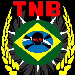 tropa nacional Batlefi's emblem