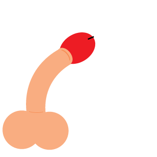 FlowerSupport's emblem