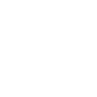 Leo_VIKING12's emblem