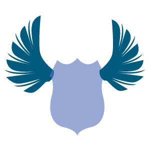 kd_airman's emblem