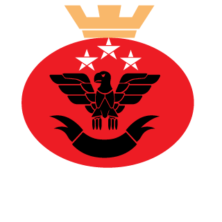 MattSouza14's emblem