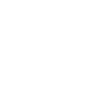 19dd1c80652d4d0f's emblem