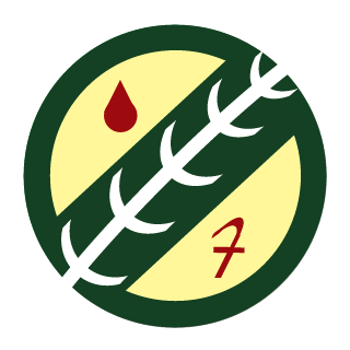 -MDG-MANDO's emblem