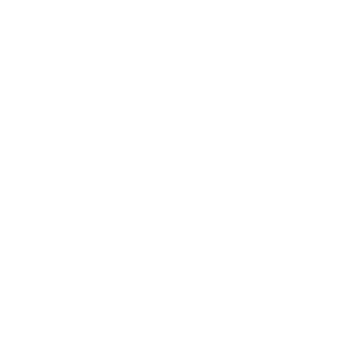 BlackDevCon's emblem
