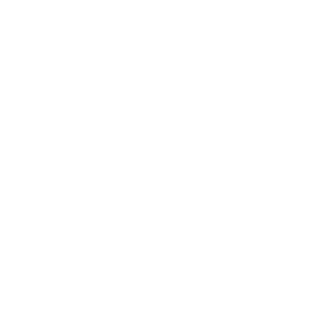 Sv4rt3n's emblem