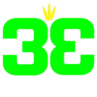 zeleni306's emblem