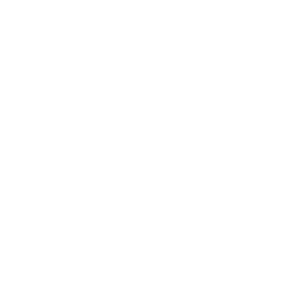 LowSkillProject's emblem