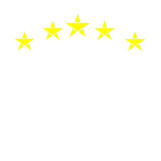 SanniTheKing's emblem
