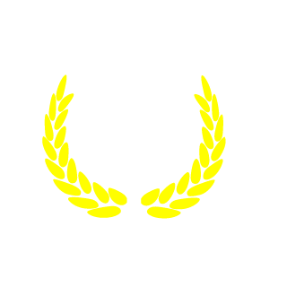 CaPteR416's emblem