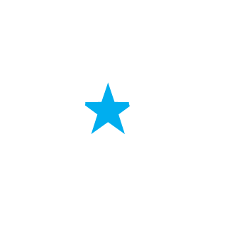 Starlet_009's emblem