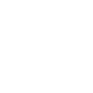 -zChaosX-'s emblem