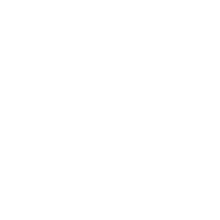 IKF2010's emblem