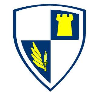WangSh4ftDirecT's emblem