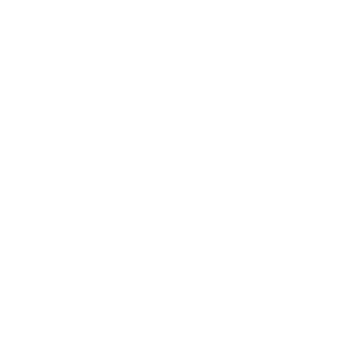bastiFPV's emblem