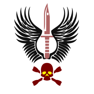 71DIDDI's emblem