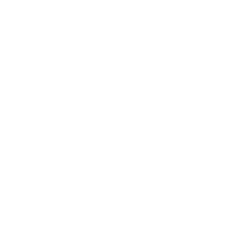 psyNNeT's emblem