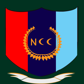 PunjabJunction's emblem