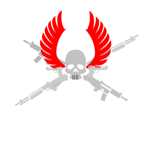 PatriotCCS's emblem