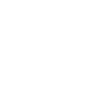DlFR0N3's emblem