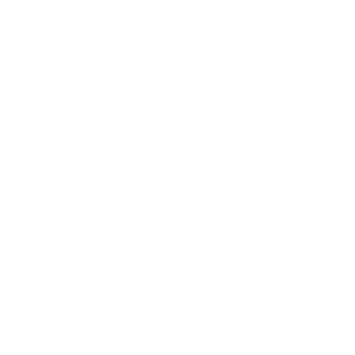 The Dark One N's emblem