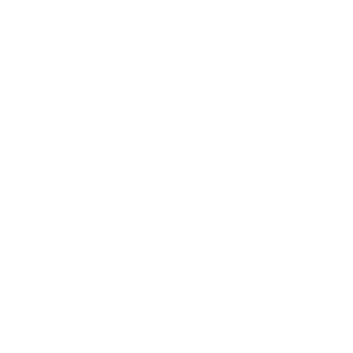 headwiresz's emblem
