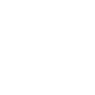 BoostedAbsint's emblem