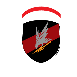 duel59's emblem