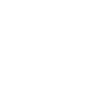 hybridio's emblem