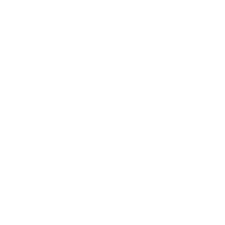 ExcellentExcel's emblem