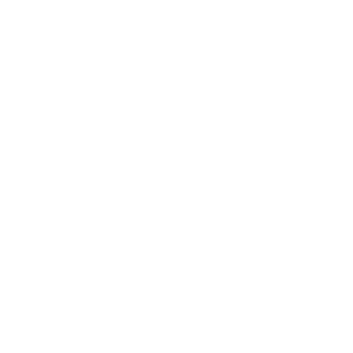 MoonBurger85's emblem
