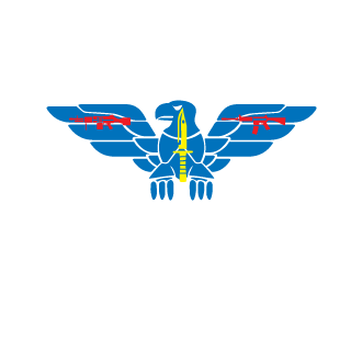 wizboy138's emblem