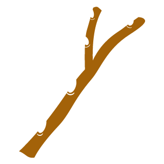 Salix_pLaNT's emblem