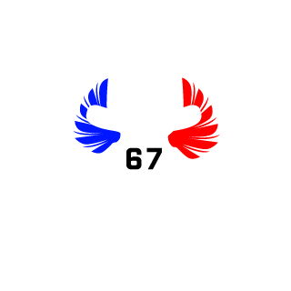 ThePotatoKing67's emblem