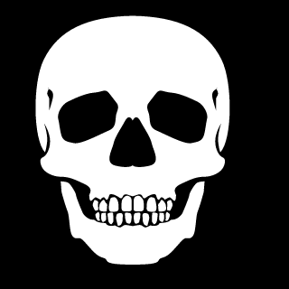 RSA_Razer's emblem