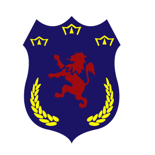 N1ks4n's emblem