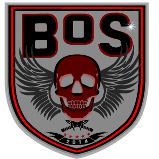 Brotherhood of Steel's emblem