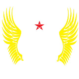 DumbLemon5's emblem