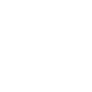 anel007's emblem