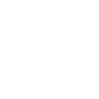 DavidKingGV's emblem