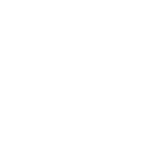 VlaDIK11100100's emblem