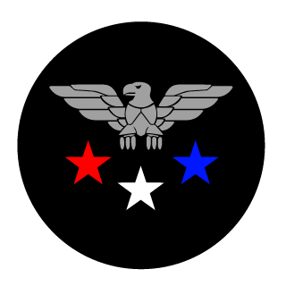 GavinPlaysSR's emblem