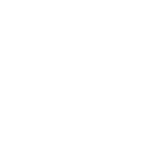 Blivot3's emblem
