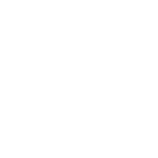 Wasilok234's emblem