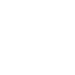 ijnbvfr's emblem