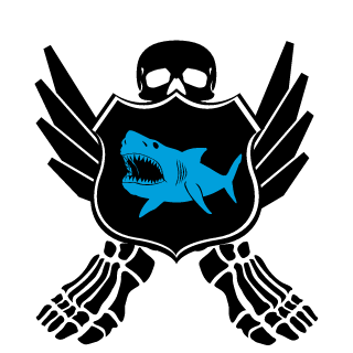 ZeroSkyBobo's emblem