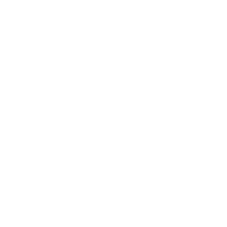 NicoleBF4's emblem
