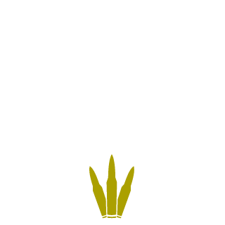 Quentin80Fighter's emblem
